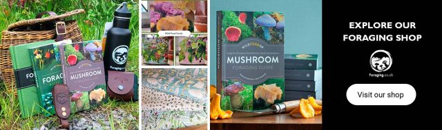 Shop-Banner-Winter-24